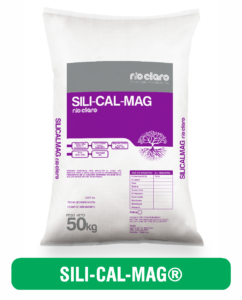 SILICAL